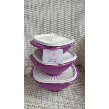 BOWL SET UNGU/ SERVALIER BOWL