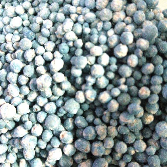 pupuk NPK 16 16 16 Pak Tani Rusia repacking 70gr murah