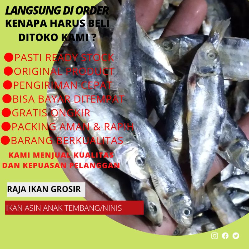 

IKAN ASIN ANAK TEMBANG/NINIS 100 GRAM