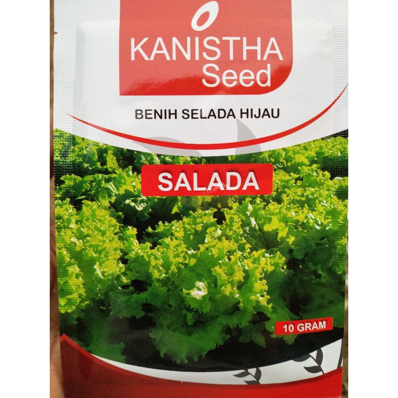 Bibit Benih Selada Hijau Unggulan KANISTHA Seed