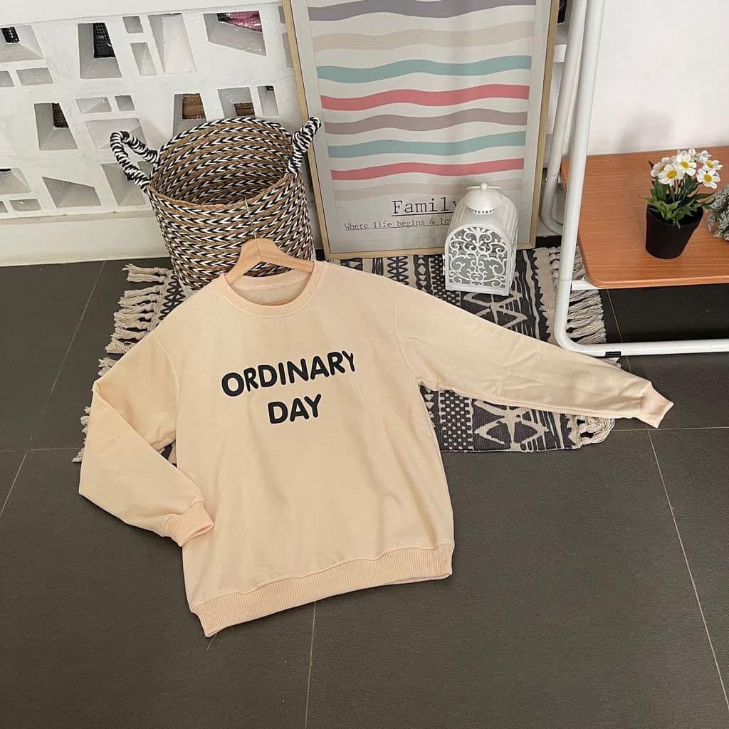 Nara Grosir - Ordinary Day Sweater l Sweater Pria dan Wanita