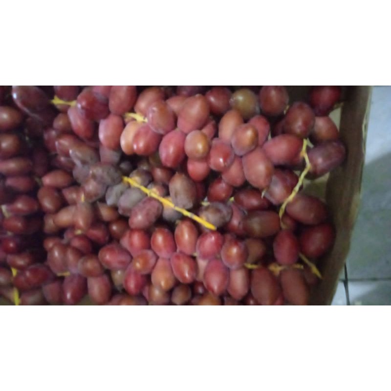 

kurma muda merah 500 gram