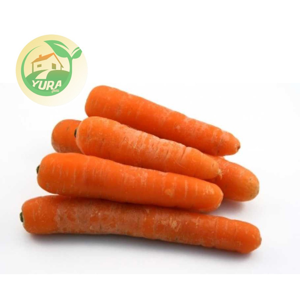 

WORTEL Organik 100% Sayur Segar Organic