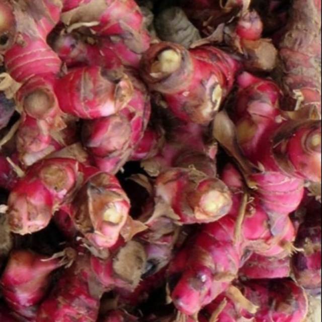 

Ready jahe merah 500 gr