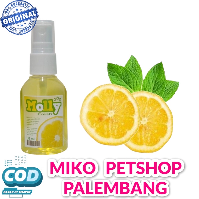 Parfum kucing, kelinci dan anjing AROMA LEMON