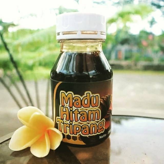 

MADU HITAM TRIPANG HIPERTENSI MADU HITAM PAHIT