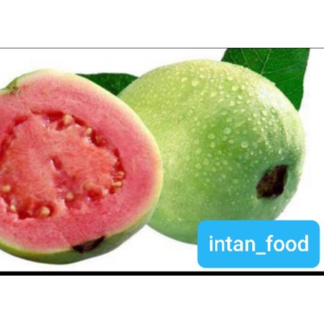 

Jambu biji merah fresh