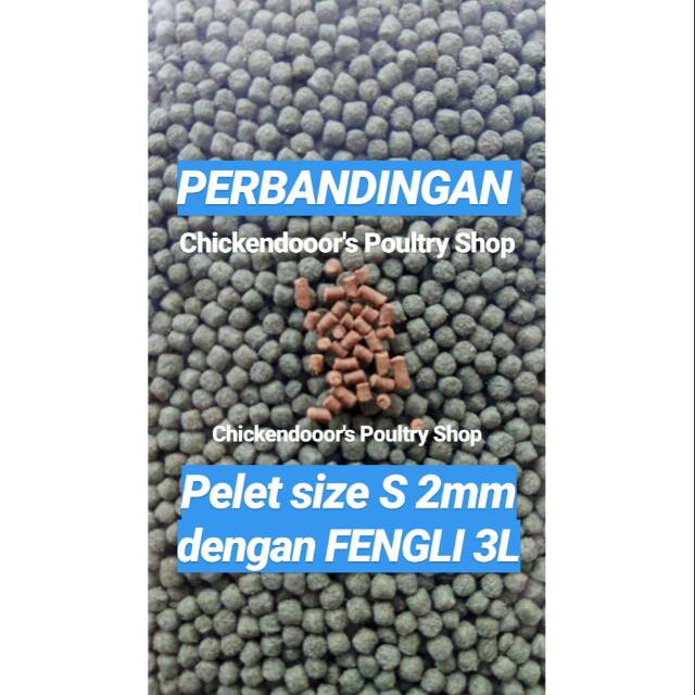 Pelet mas koki tenggelam FENGLI 3M FENG LI 3 m 1/2kg pakan koi sinking feed udang lobster dewasa