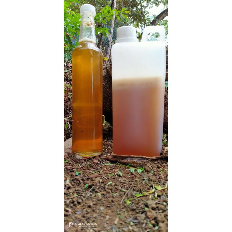 

madu randu murni. 1 kg