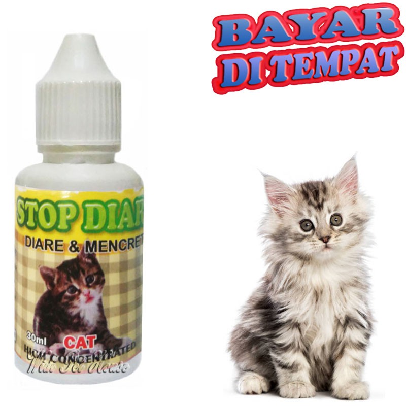 Obat Mencret Kucing STOP DIAR Sakit Perut Diare