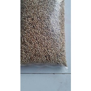 

FREE ONGKIR!Merica putih lada kalimantan 1kg super biji besar|KD1