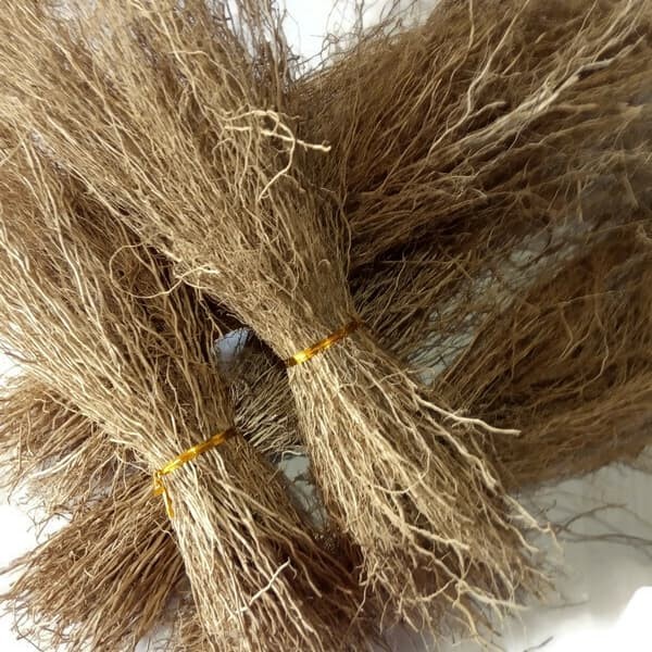 

Akar Wangi Kering 500 g (1/2 kg) / Vetiveria Zizanioide - Murni