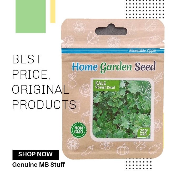 Benih Bibit Kale Siberian Dwarf Home Garden Seed Original Pack