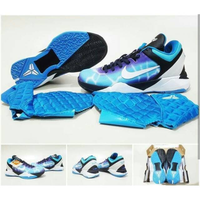 kobe 7 shark