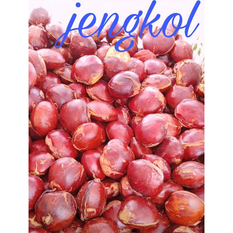 

Jengkol