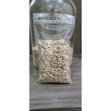 

biji bunga matahari / sunflower seed / kuaci kupas