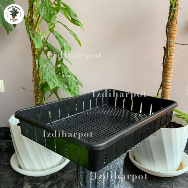 Tray pot untuk semai bibit hidroponik 50cm - TRAY POT NKT 50CM