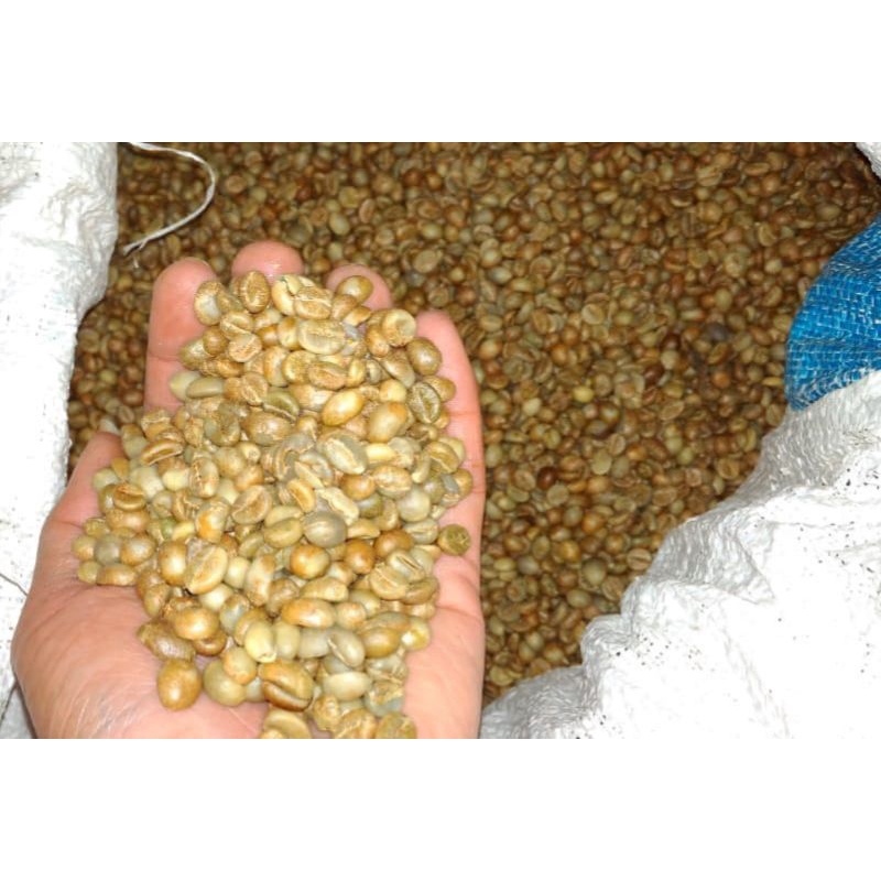 

Green Bean/ Biji Robusta Tambora Grade A