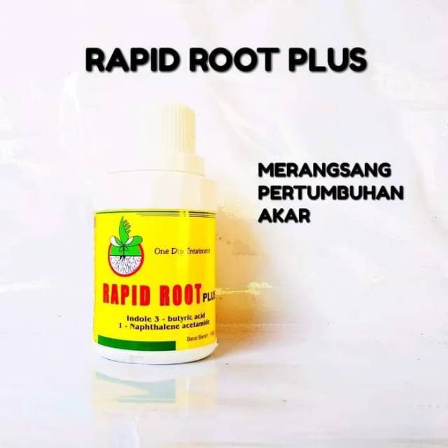 RAPID ROOT 100GR  hormon pertumbuhan akar dan merangsang akar -ZPT(zat pengatur tumbuh)