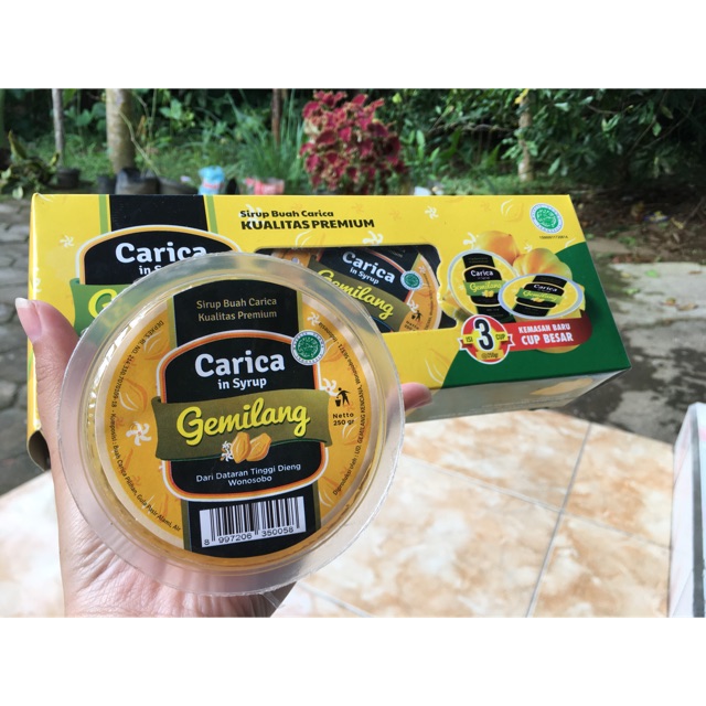 [TERLARIS] Carica Gemilang Cup 250gr