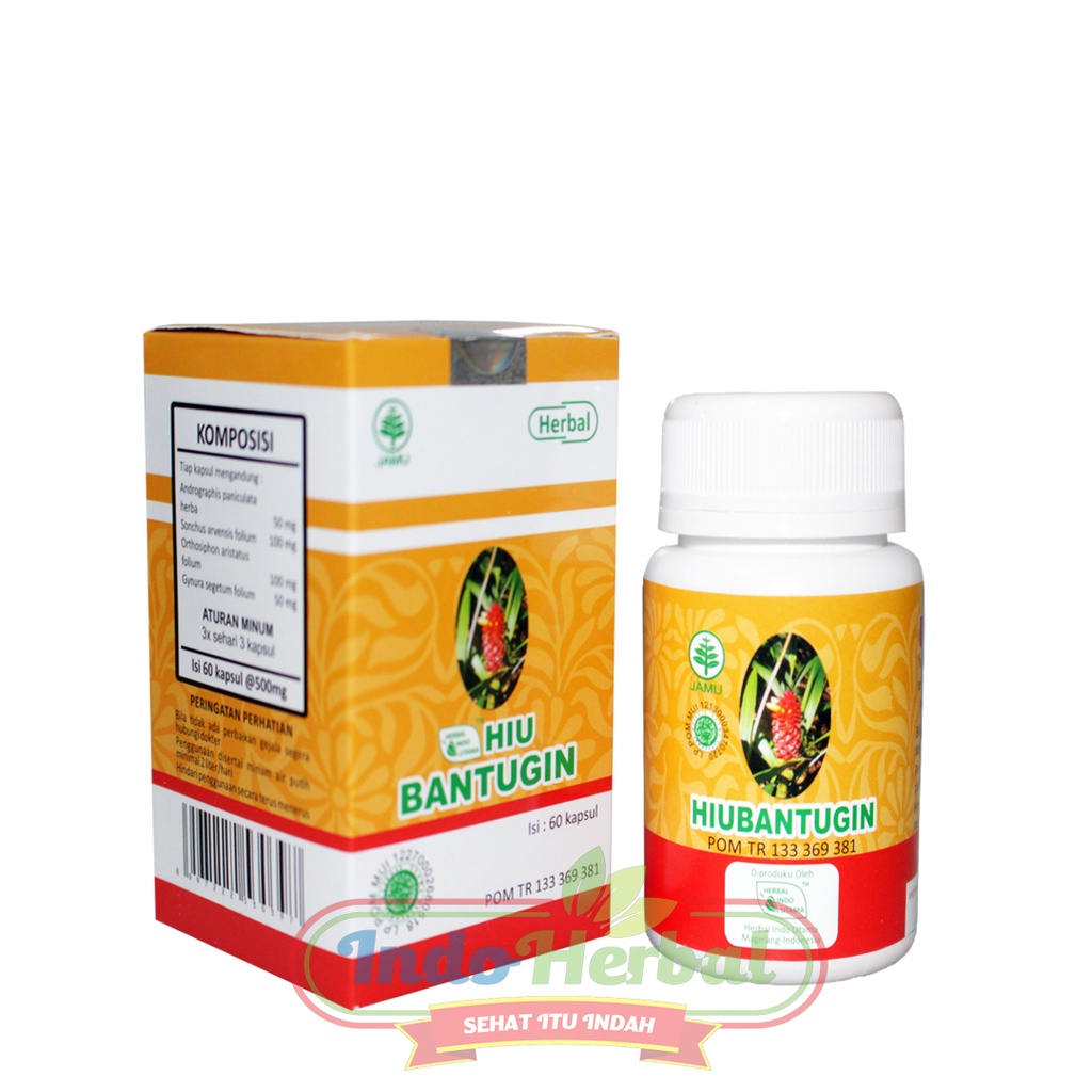 HIU BANTUGIN Obat Batu Ginjal | Batu Empedu ASLI 60 Kapsul