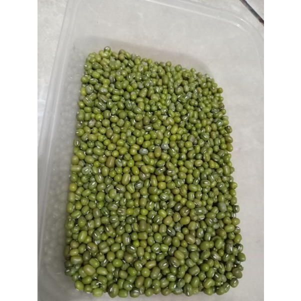 

KACANG HIJAU CURAH KUALITAS BAGUS