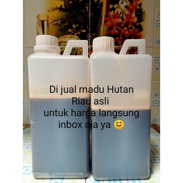 

madu hutan alaska