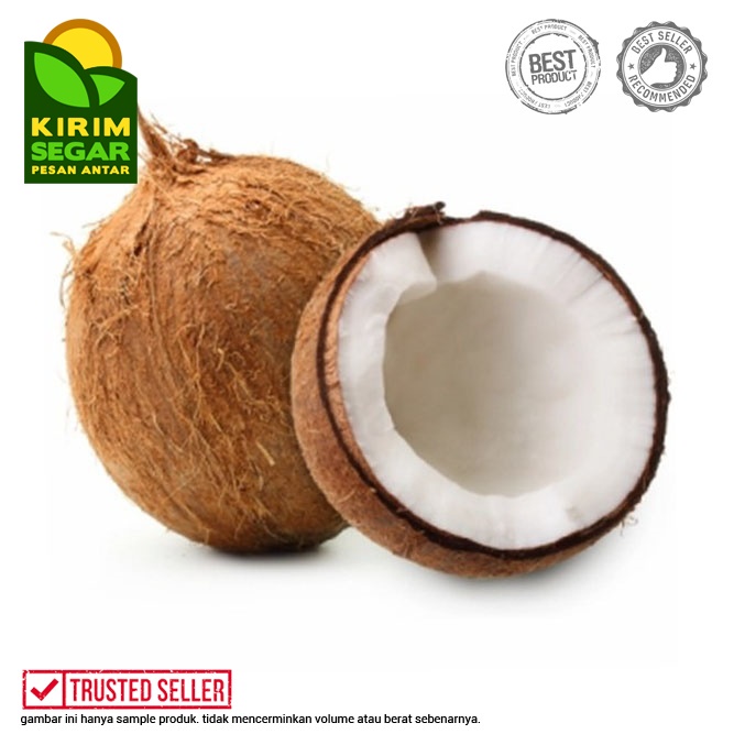 

Kelapa Tua Utuh Segar / Kelapa / Kelapa Tua / 1pcs