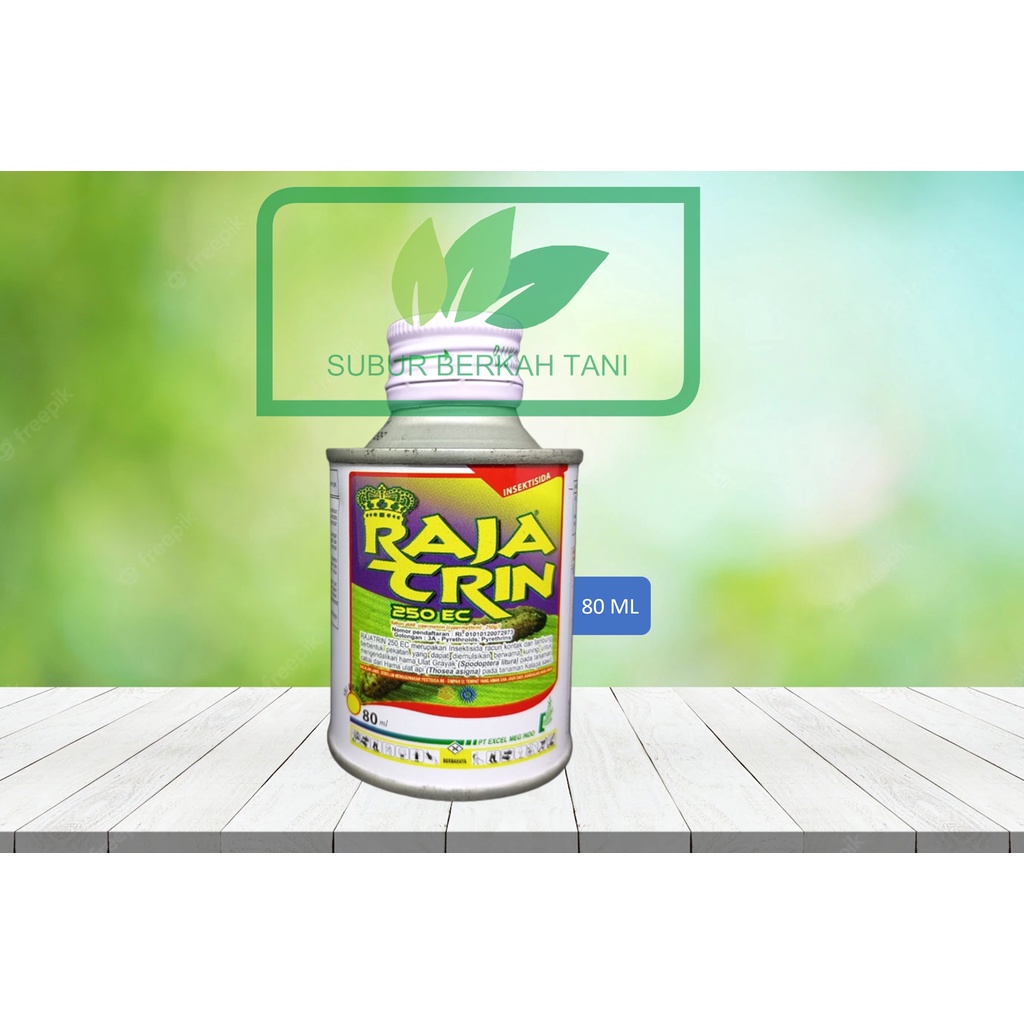 RAJATRIN 80 ML