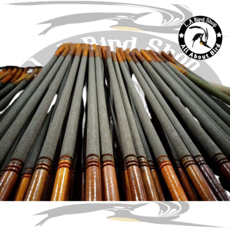 TANGKRINGAN AMPLAS MURAI TANGKRINGAN BURUNG MURAI