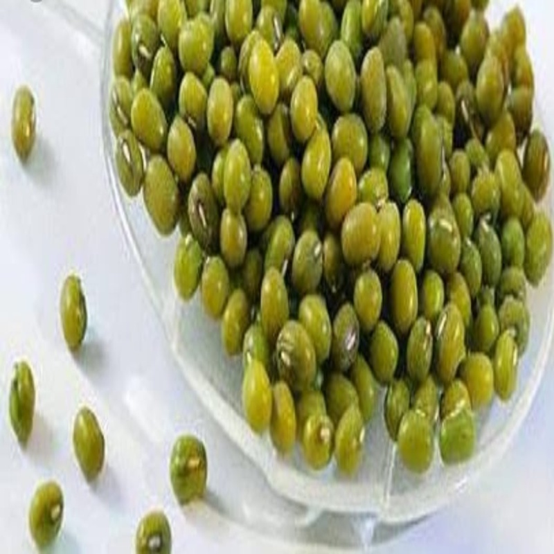 

KACANG HIJAU LOKAL 100 GRAM