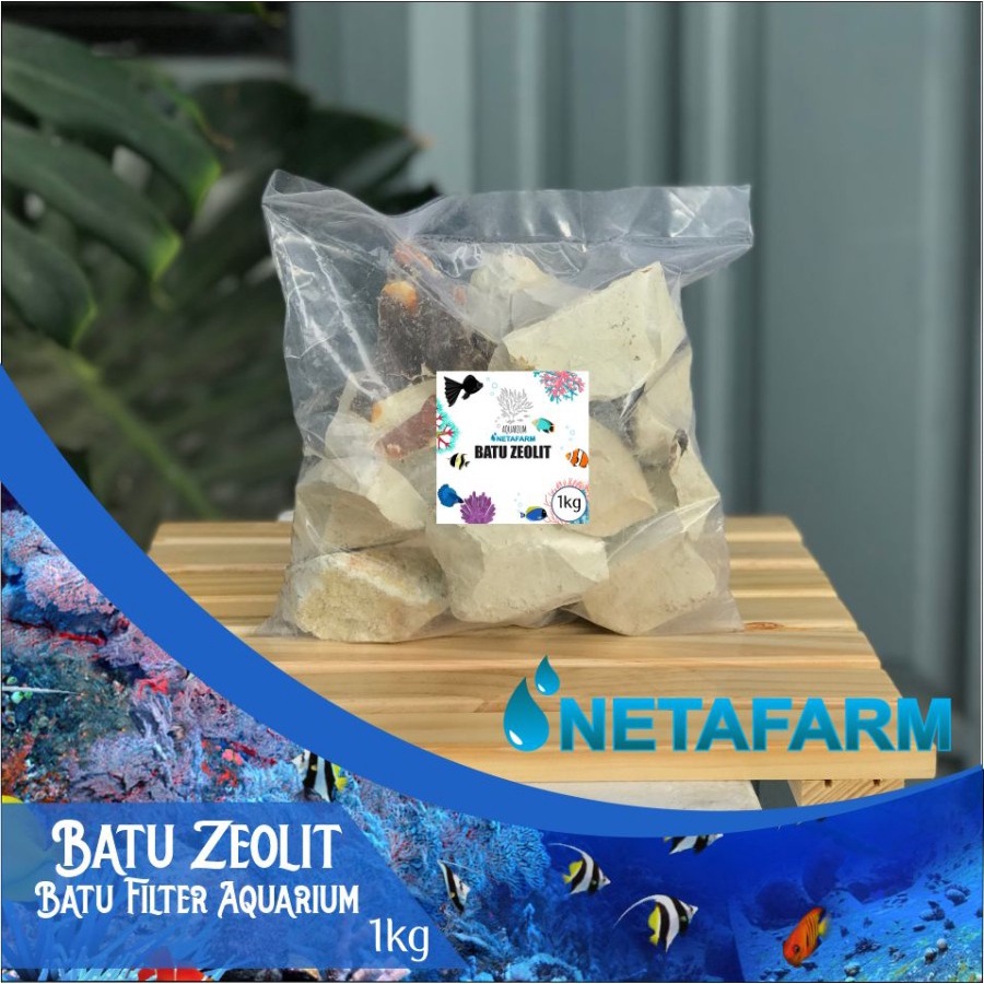 Batu Zeolit Zeolite Media Filter Kolam dan Aquarium Aquascape - 1kg