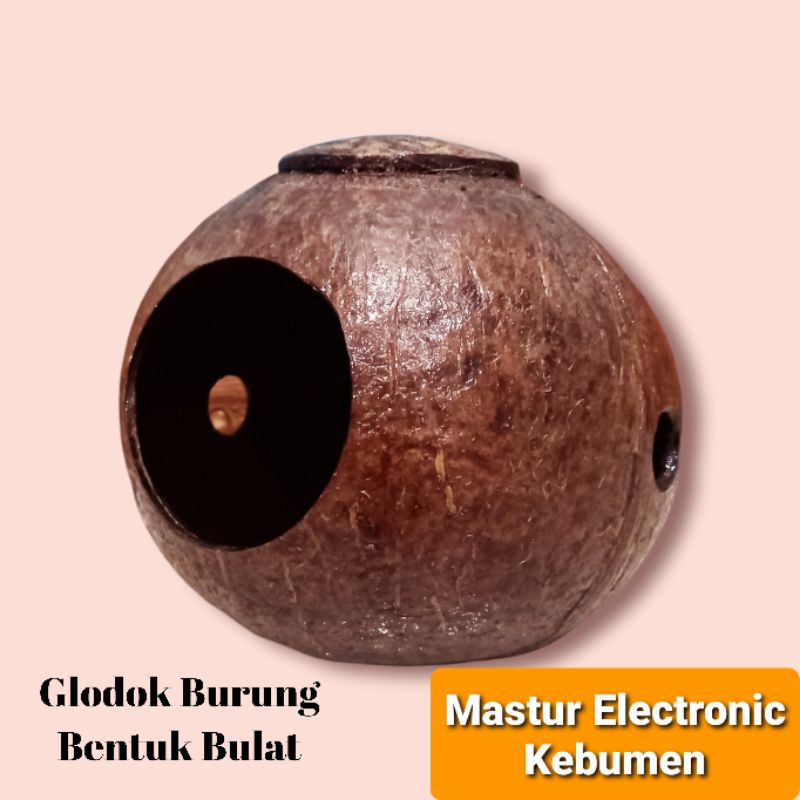 GLODOK BURUNG MURAI LOVE BIRD KENARI SARANG TELUR BATOK KELAPA