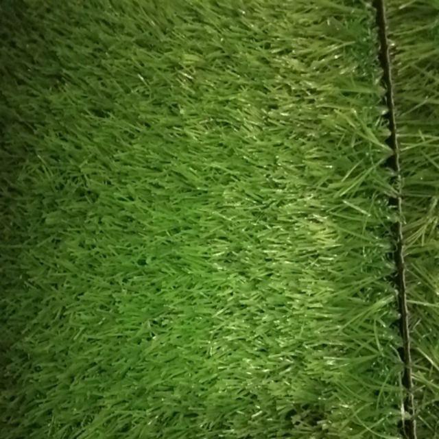 Rumput Sintetis Swiss Ukuran 25x25cm Tebal 3cm Full Green