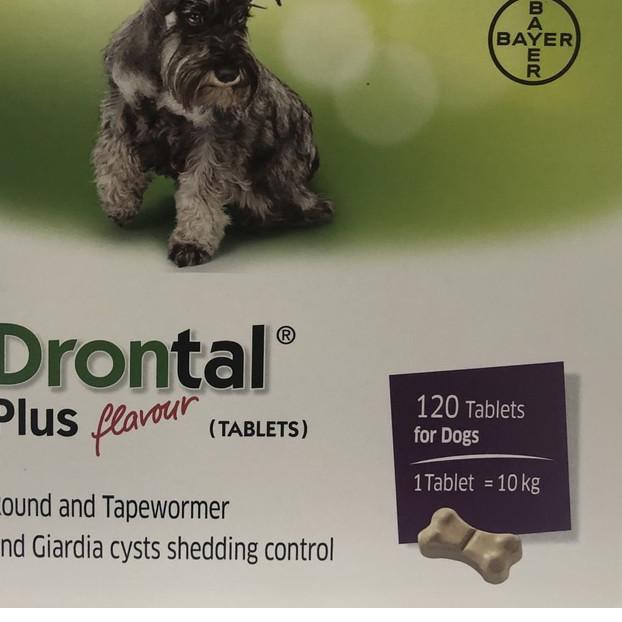 Drontal plus tt