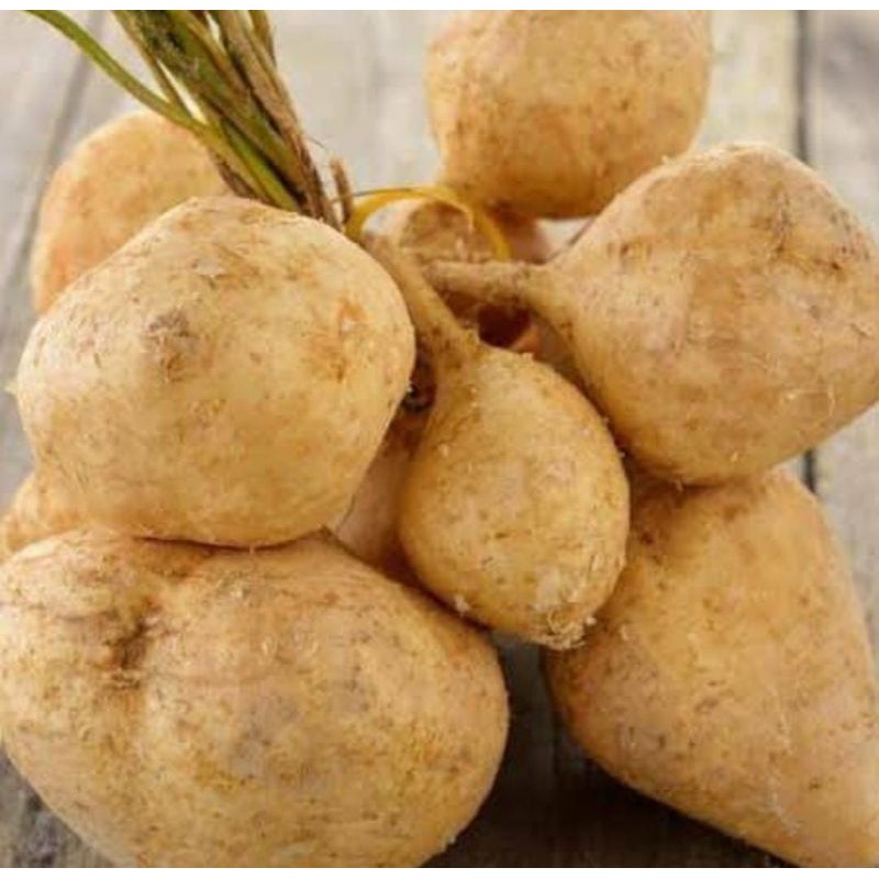 

Bangkuang 1kg