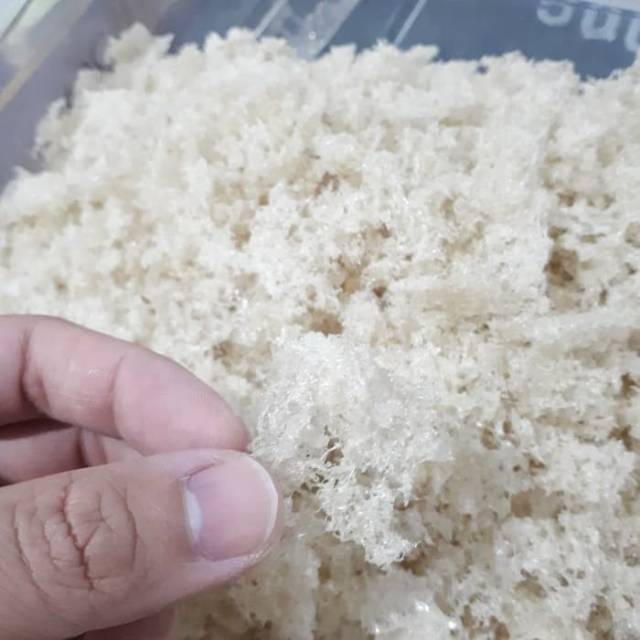 

Sarang walet hancuran 500gr