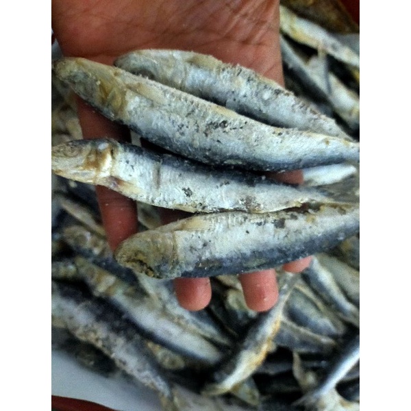 

IKAN ASIN JAPUH LESI 100gram