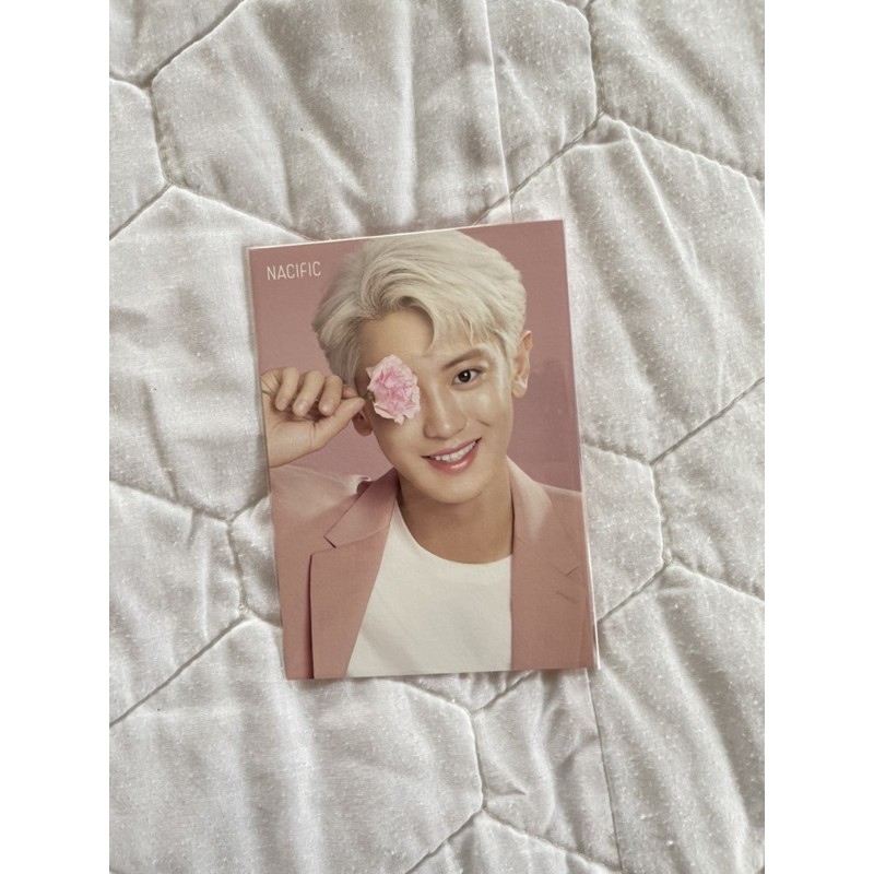 Chanyeol Postcard nacific