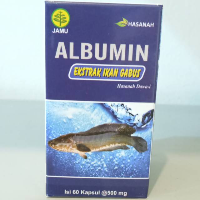 

Albumin Ekstrak Ikan Gabus