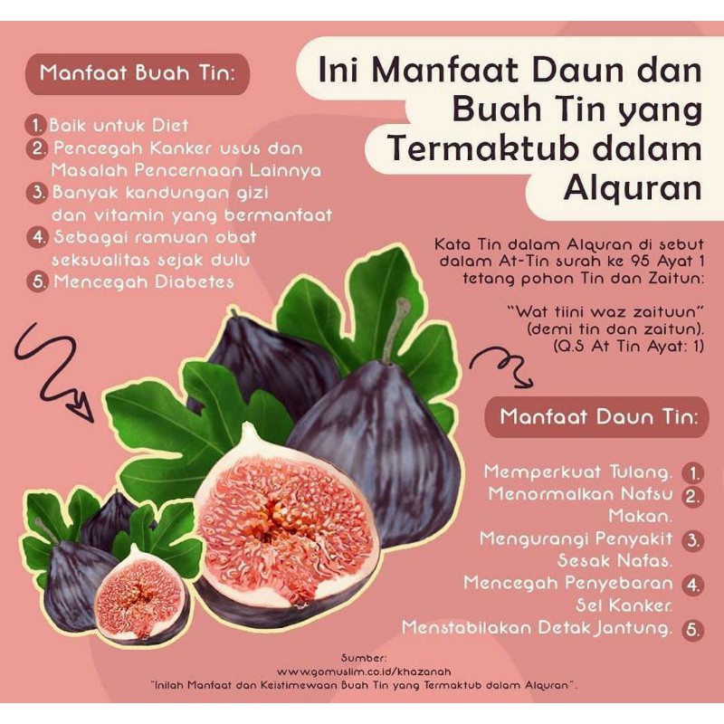 Buah Tin Figs Buah Ara Kering Halal Mui Tanpa Pengawet Tanpa Pemanis Indonesia