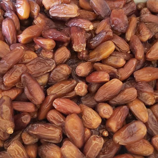 

Kurma Tunisia