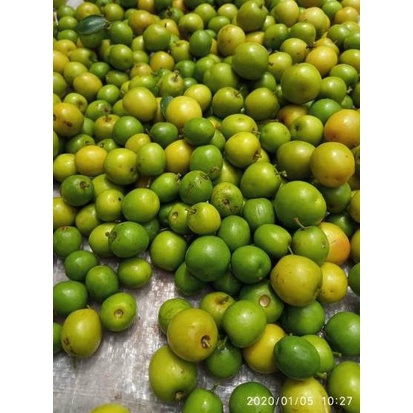 

Brands buah segar bidara arab (TERMURAH) |Borong|Kualitas nomer 1|Cepat!!!