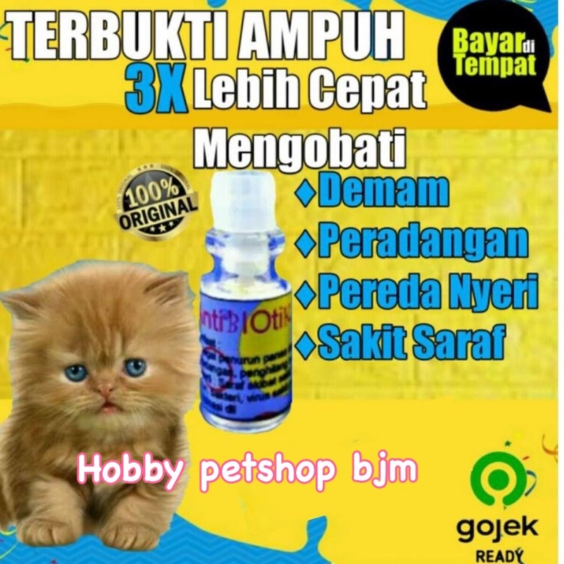 obat D3 kucing antibiotik - infeksi virus radang sakit saraf