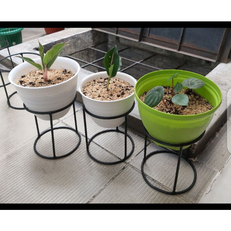 Rak Bunga Besi Pot Tanaman Hias Single Pot D18cm