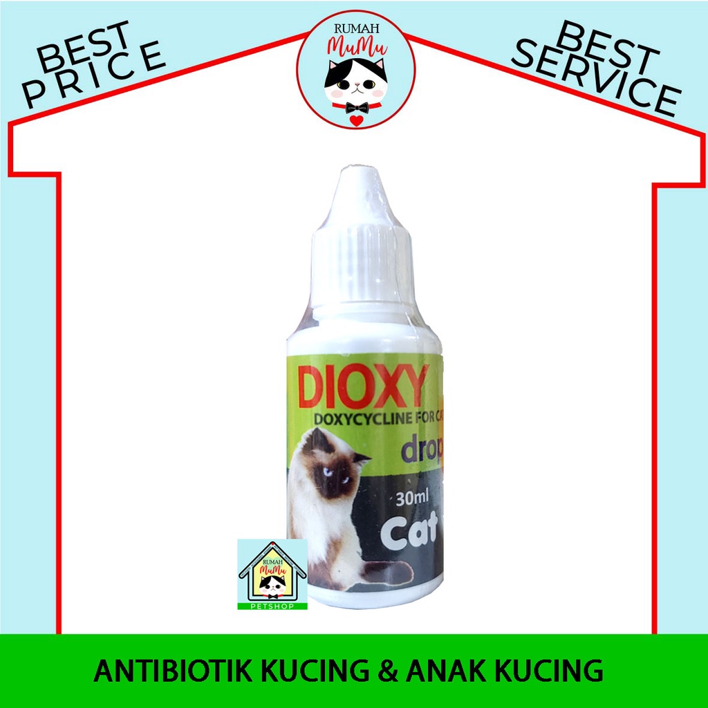 ANTIBIOTIK KUCING KITTEN OBAT SAKIT DEMAM FLU PILEK DIARE MUNTAH DIOXY