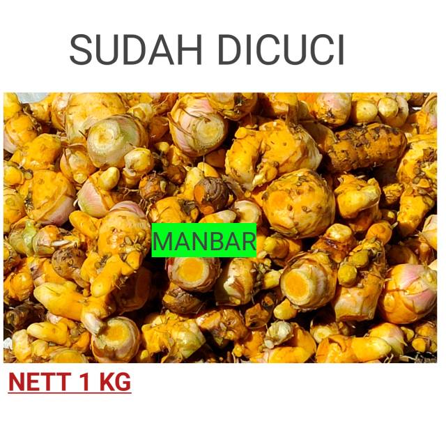 

MANBAR - TEMULAWAK SEGAR BAHAN DASAR JAMU