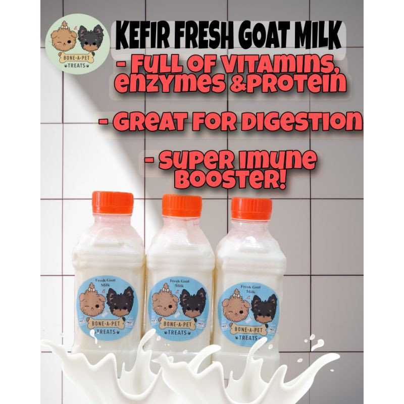 kefir raw goat milk dog cat food- susu kambing segar untuk anjing kucing