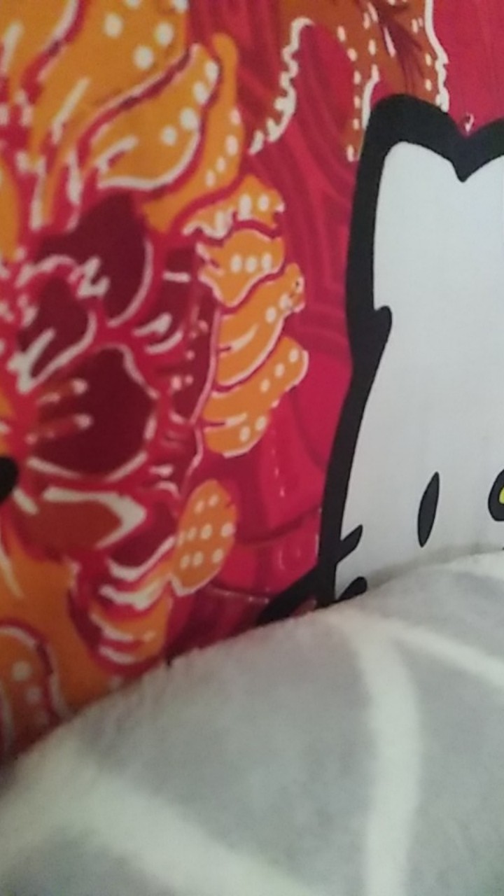 [ Cod ] Jarum Peniti Bohlam Premium Box / Kotak / Container Bulat Isi 50