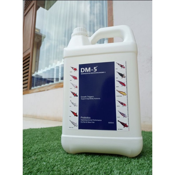 Probiotik ikan DM-5(DEGRADATION MICROORGANISMS 5)